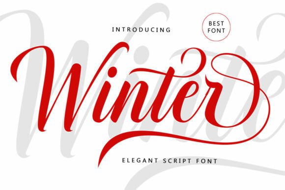 Winter: An Elegant Script Font for Timeless Design